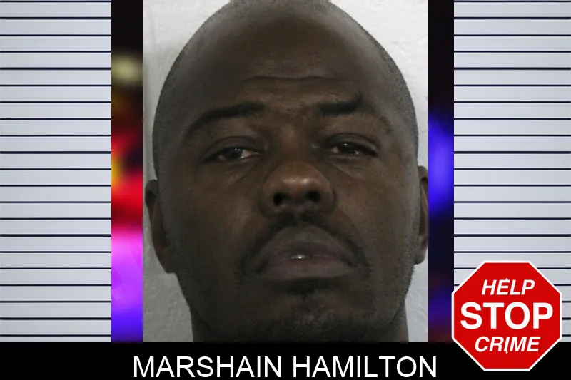 Marshain Hamilton mugshot