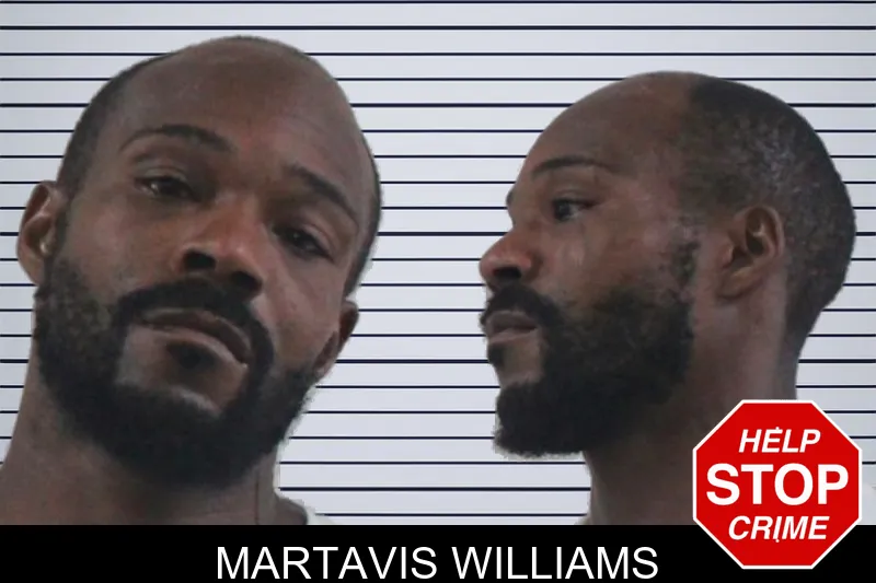 Martavis Williams mugshot
