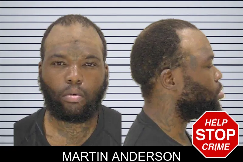 Martin Anderson mugshot