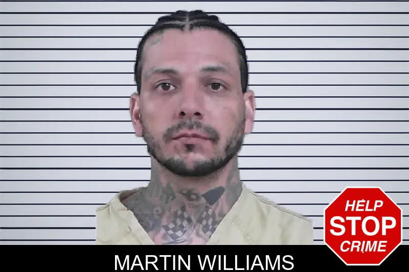 Martin Williams mugshot