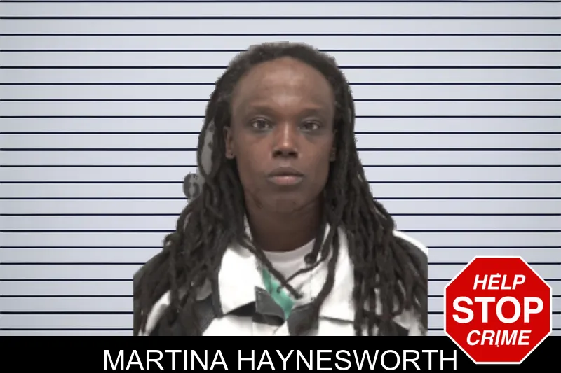 Martina Haynesworth mugshot