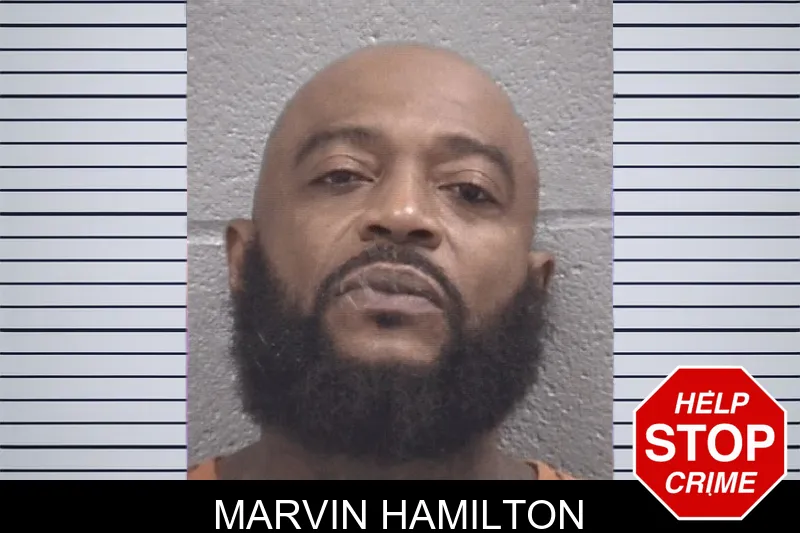 Marvin Hamilton mugshot