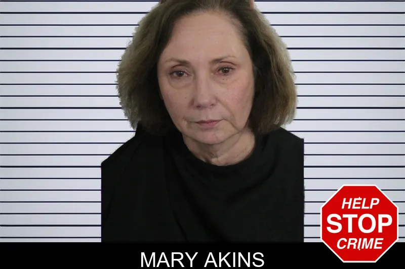 Mary Akins mugshot