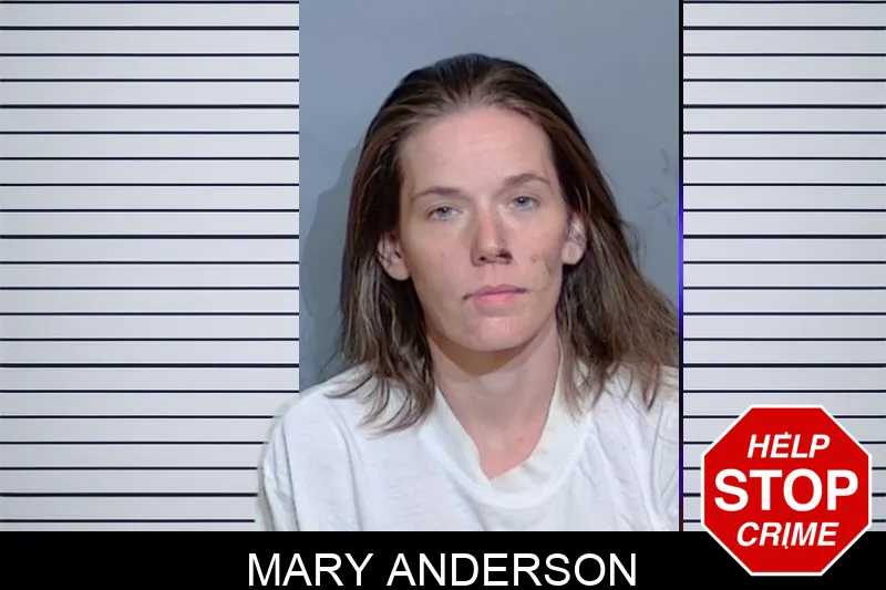 Mary Anderson mugshot