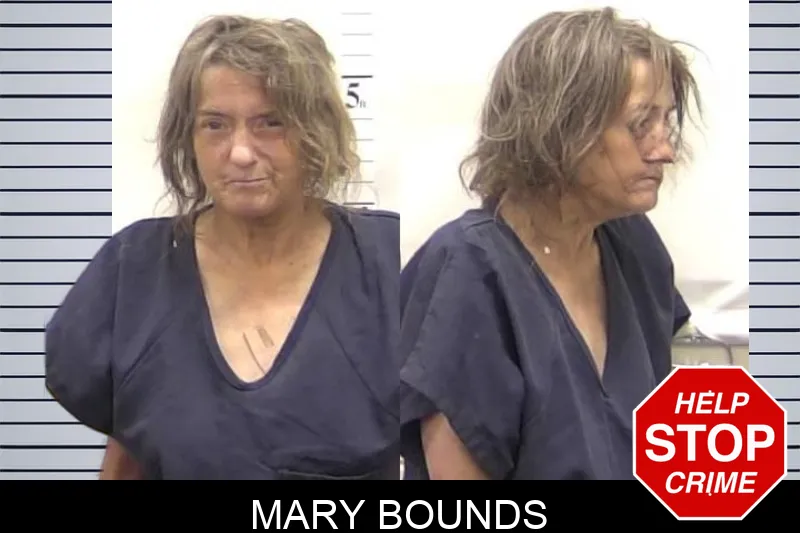 Mary Bounds mugshot