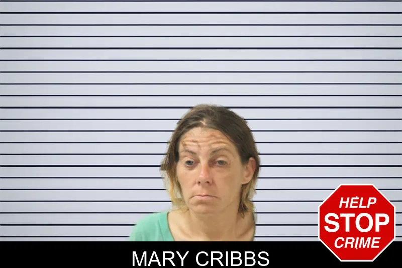 Mary Cribbs mugshot