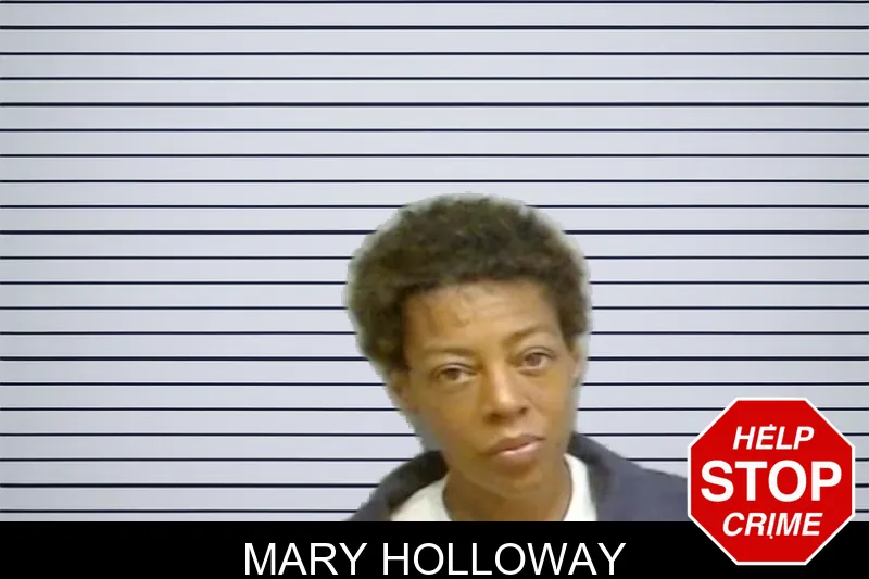 Mary Holloway mugshot