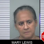 Mary Lewis mugshot