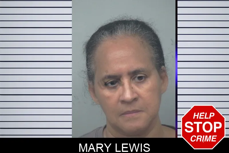 Mary Lewis mugshot