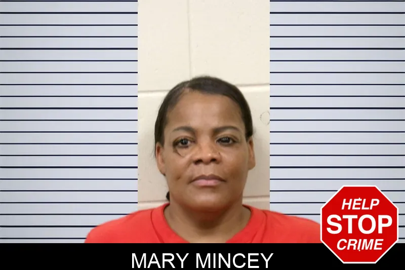 Mary Mincey mugshot