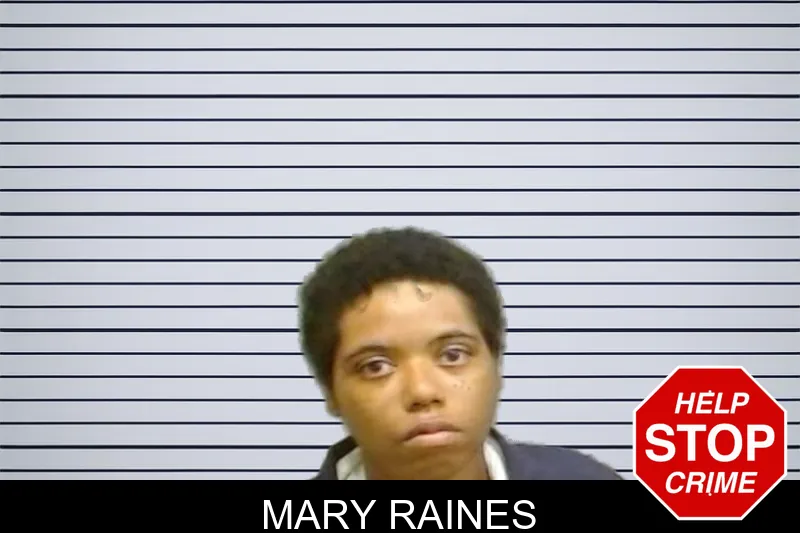 Mary Raines mugshot