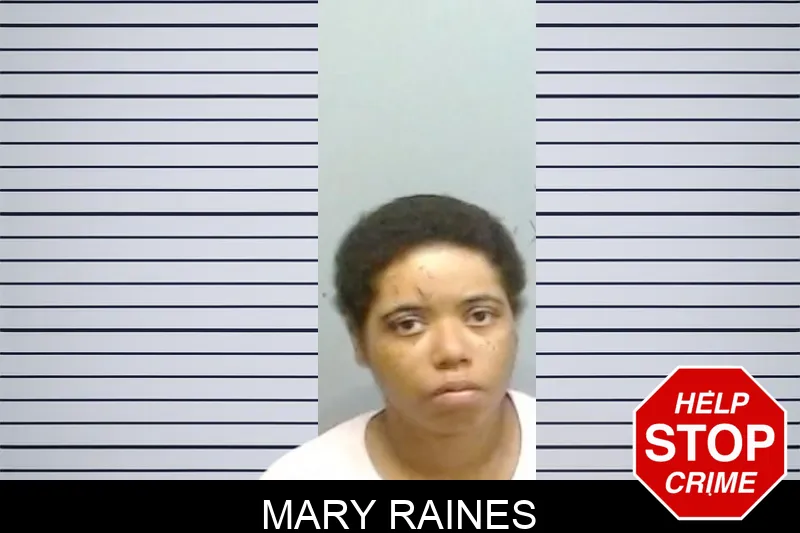Mary Raines mugshot