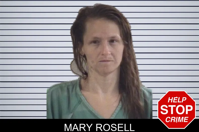 Mary Rosell mugshot