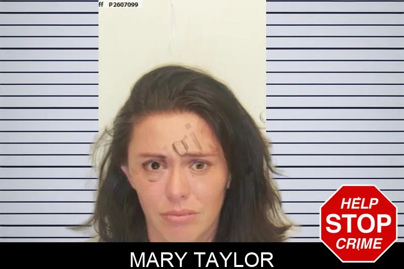Mary Taylor mugshot – Chatham County , Georgia Mary Taylor mugshot