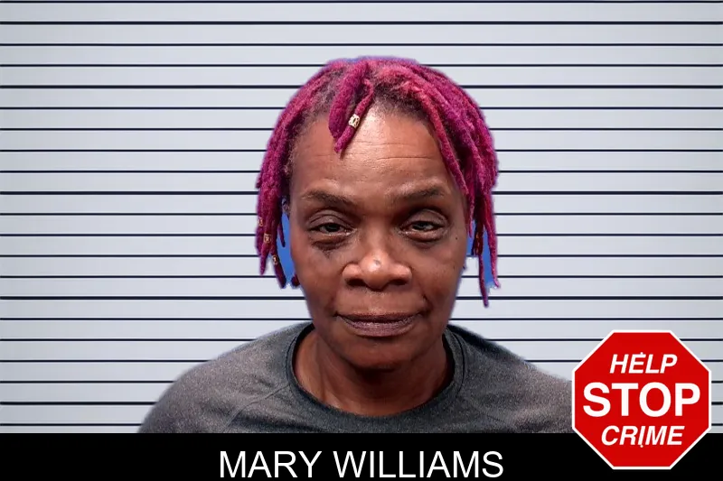 Mary Williams mugshot