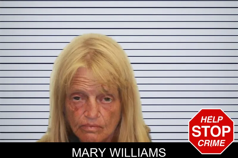 Mary Williams mugshot – Chatham County , Georgia Mary Williams mugshot