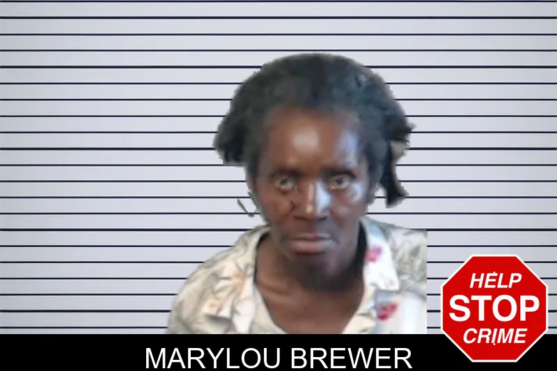 Marylou Brewer mugshot