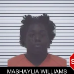 Mashaylia Williams mugshot