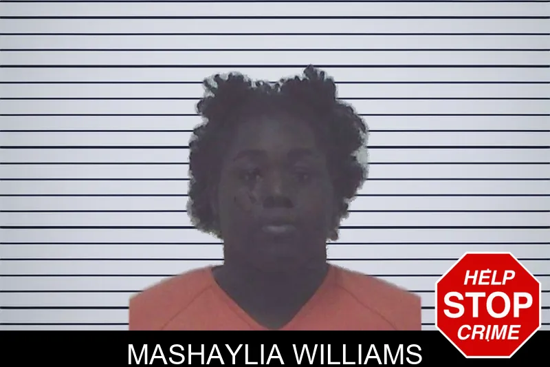 Mashaylia Williams mugshot