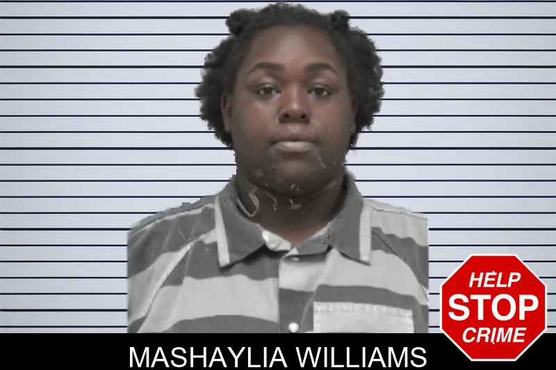 Mashaylia Williams mugshot