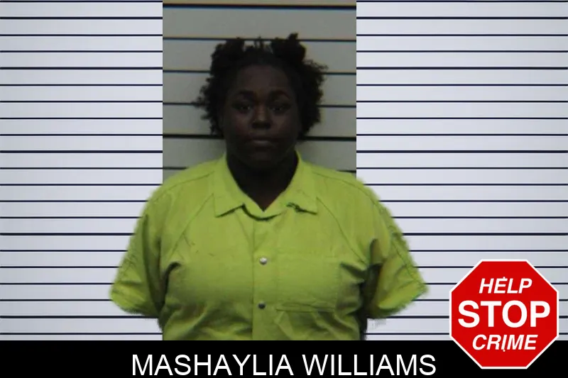 Mashaylia Williams mugshot