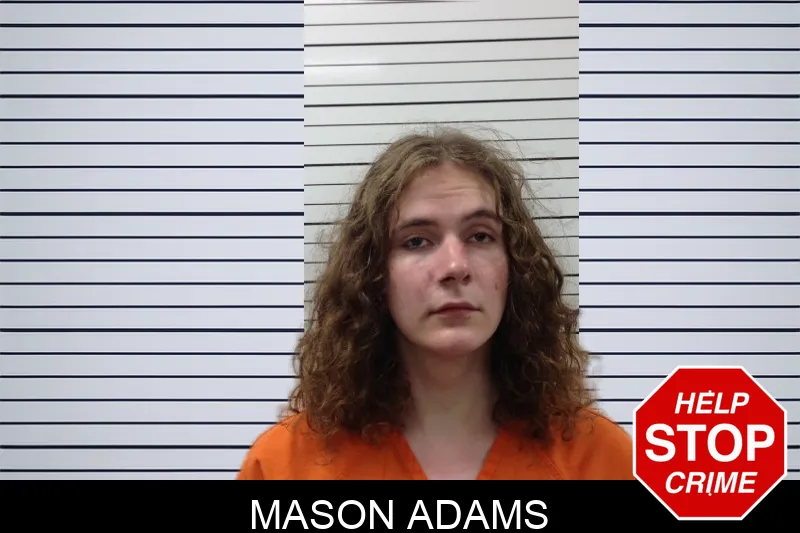 Mason Adams mugshot
