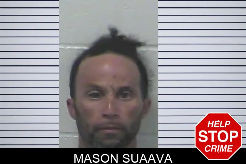 Mason Suaava mugshot