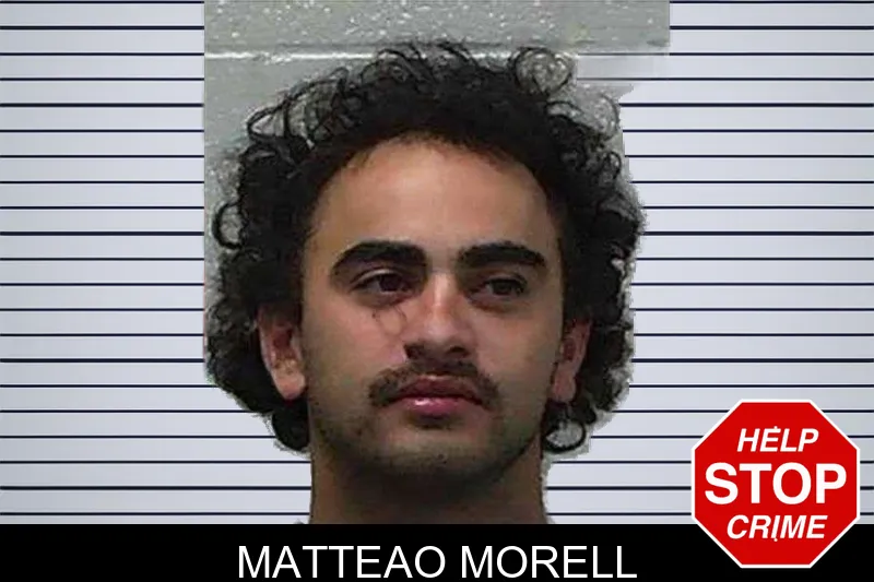 Matteao Morell mugshot