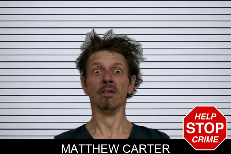 Matthew Carter mugshot