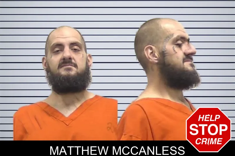 Matthew McCanless mugshot