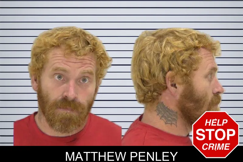 Matthew Penley mugshot