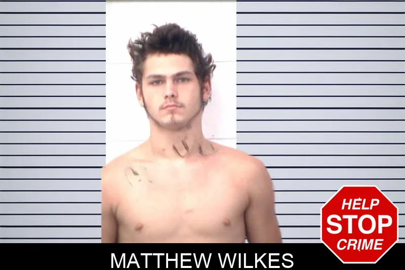 Matthew Wilkes mugshot