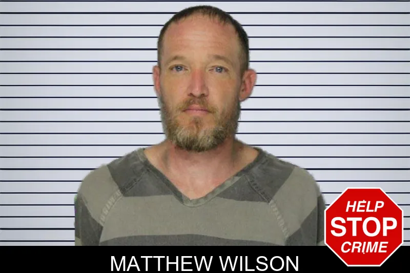 Matthew Wilson mugshot