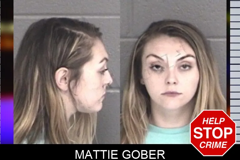 Mattie Gober mugshot