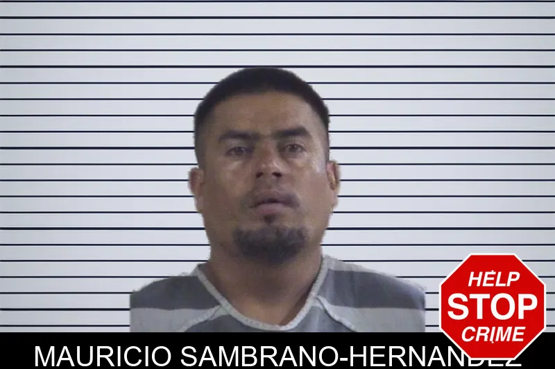 Mauricio Sambrano-Hernandez mugshot