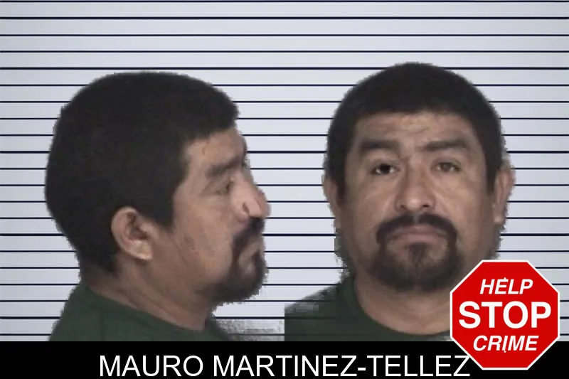 Mauro Martinez-Tellez mugshot