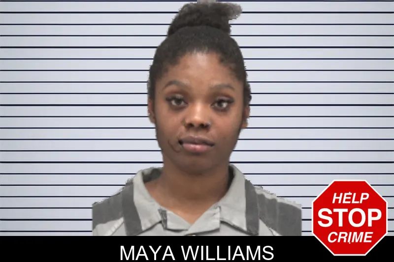 Maya Williams mugshot