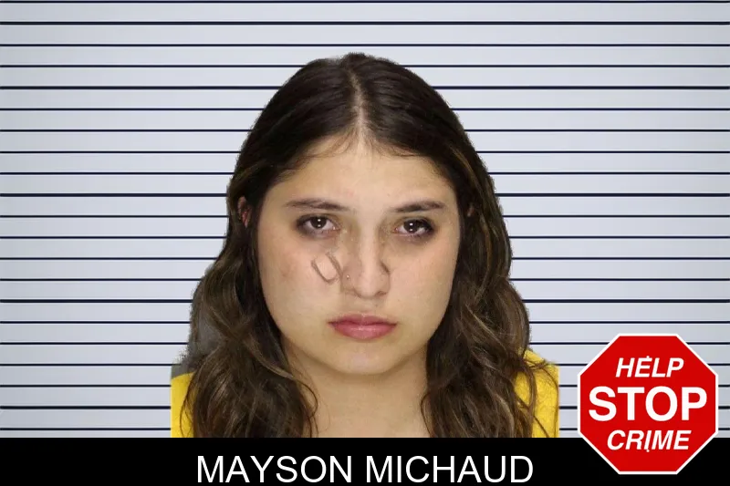 Mayson Michaud mugshot