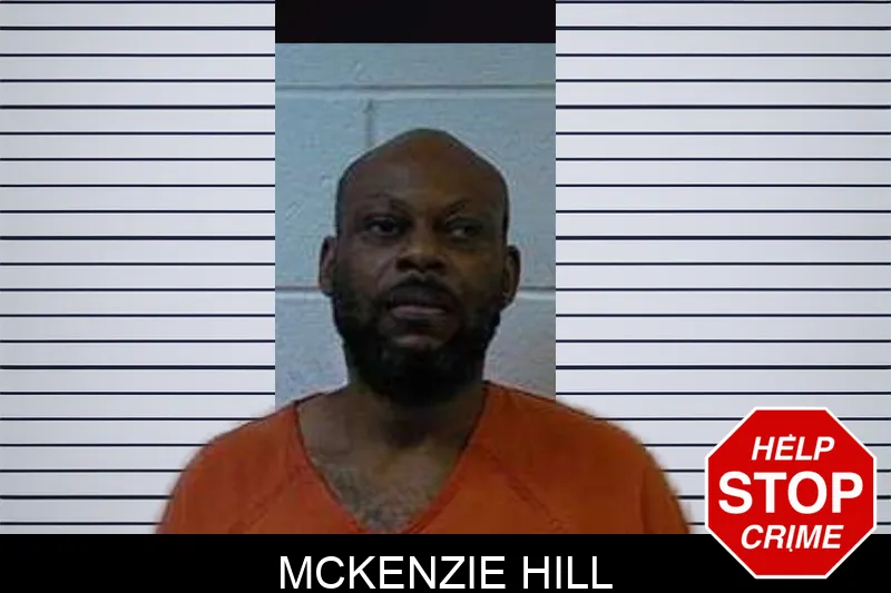 McKenzie Hill mugshot