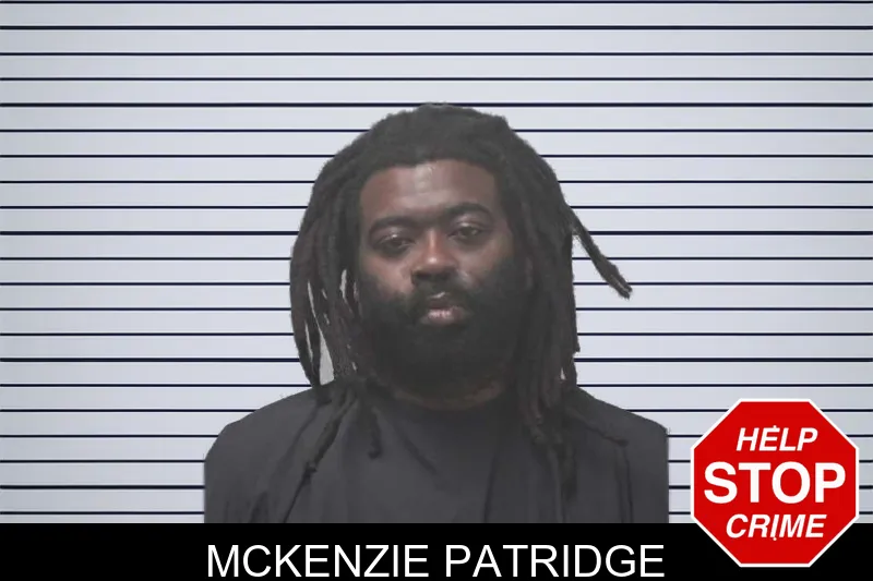 McKenzie Patridge mugshot