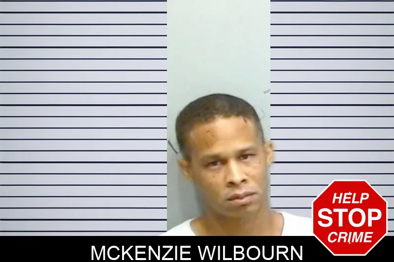 McKenzie Wilbourn mugshot