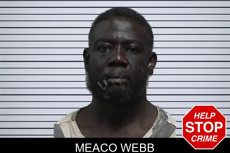 Meaco Webb mugshot