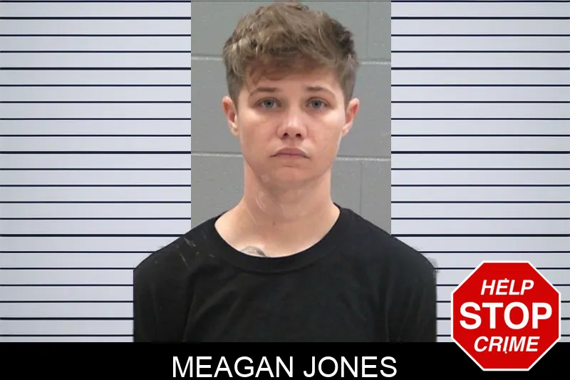 Meagan Jones mugshot