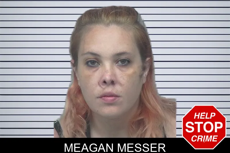 Meagan Messer mugshot