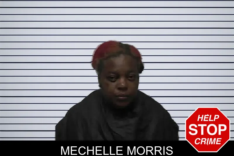 Mechelle Morris mugshot