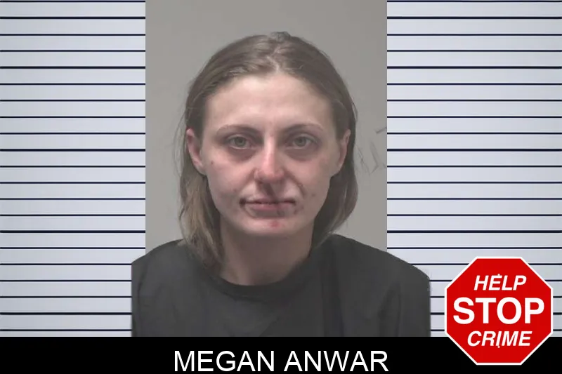 Megan Anwar mugshot