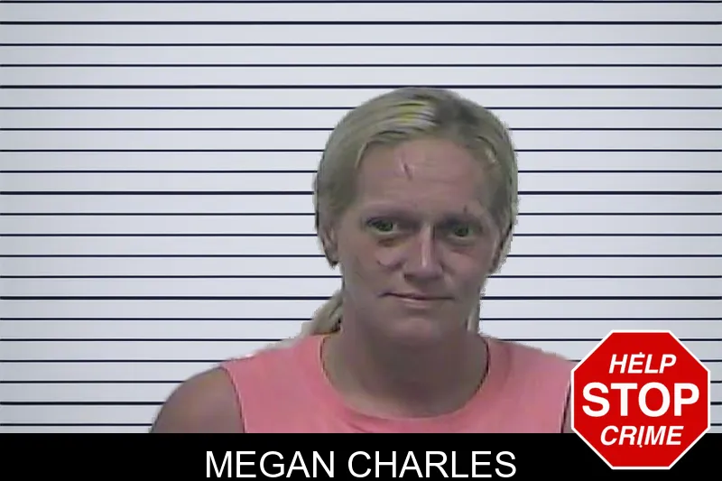 Megan Charles mugshot