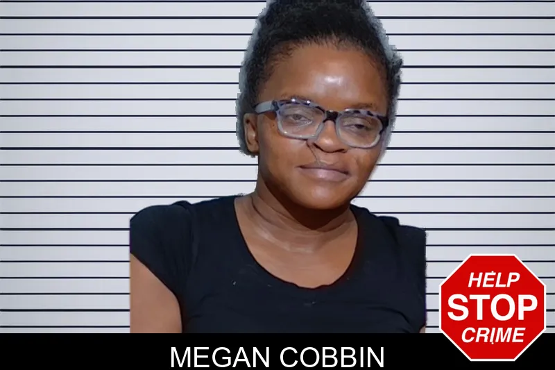 Megan Cobbin mugshot