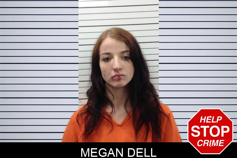 Megan Dell mugshot