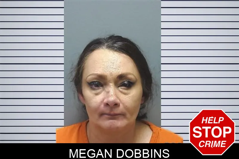 Megan Dobbins mugshot